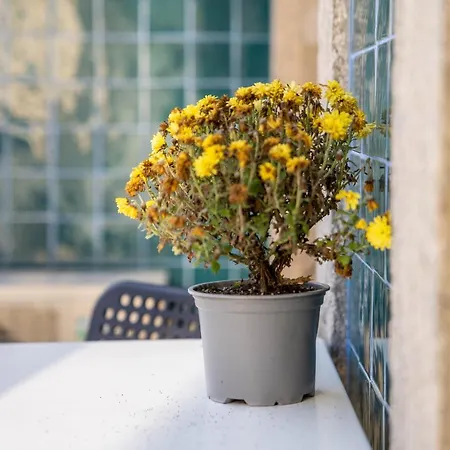 Apartamento Joao Iv Jewel Retreat By Lovelystay *