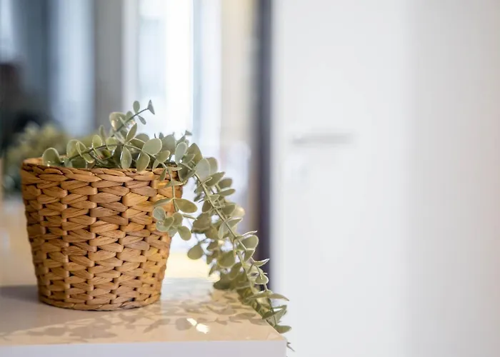 Apartman Joao Iv Jewel Retreat By Lovelystay Porto