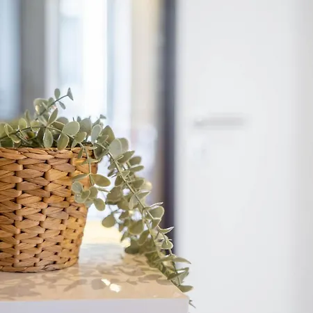 Apartment Joao Iv Jewel Retreat By Lovelystay Porto