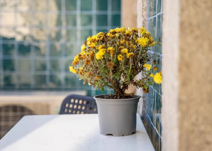 Апартаменты Joao Iv Jewel Retreat By Lovelystay *